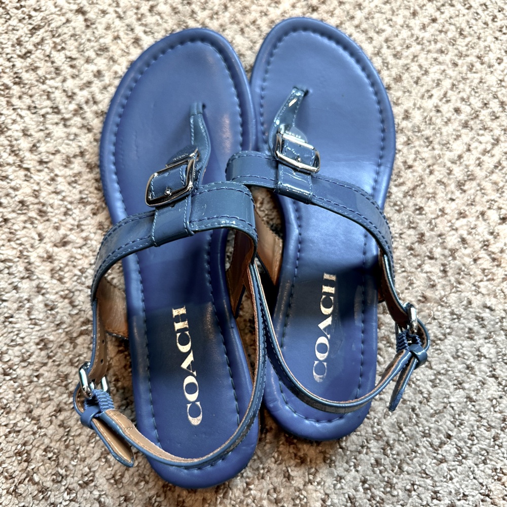 Coach Strappy Blue Buckle Sandals. Size 6